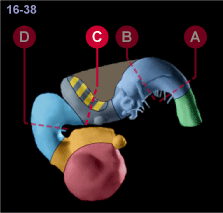 media/module22/v7a_planC_st16.gif