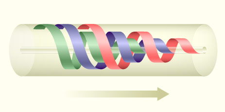 media/module3/c3g_spermgenwel.jpg