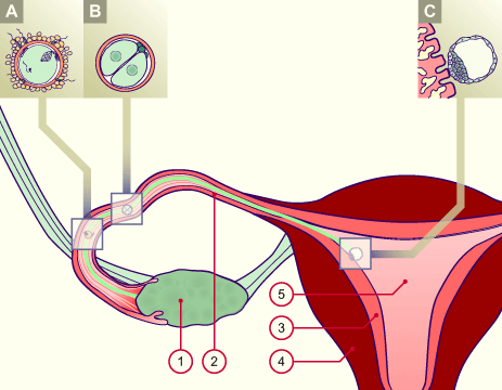 media/module5/e0c_wanderung01.gif