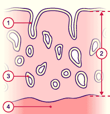 media/module6/g1d_proliftard.gif