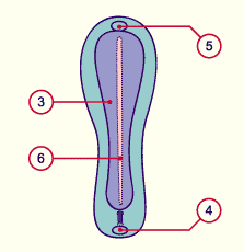 media/module7/h2e_ligneprim21.gif