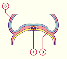 media/module7/h2ia4_cstad7_21.gif