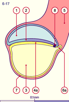 media/module8/i4_astadNumeros/i4_astad6_17N.gif