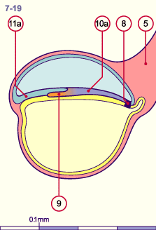 media/module8/i4_astadNumeros/i4_astad7_19N.gif