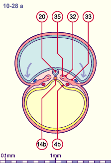 media/module8/i4_cstadNumeros/i4_cstad10_28aN.gif