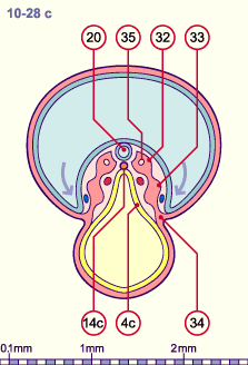 media/module8/i4_cstadNumeros/i4_cstad10_28cN.gif