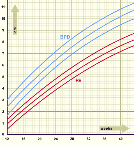 media/module9/j3b_wachsbpd.gif