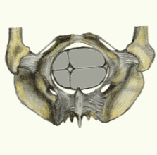 media/module9/j4c_ph1unten.gif