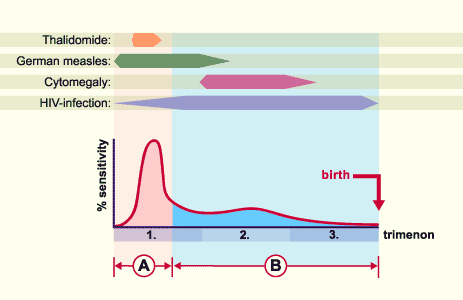 media/module9/j6c_sensterat.gif