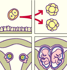 media/module10/Fig39.png