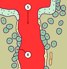 media/module10/f3_spiralee2.gif