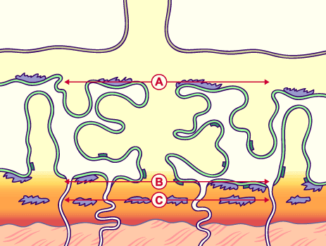 media/module10/f3kd2.gif