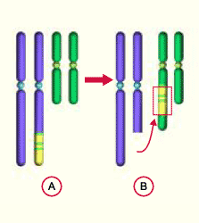 media/module11/k2g_insertion.gif