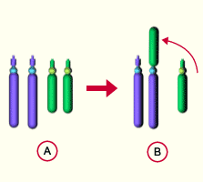 media/module11/k2k_Roberttrans.gif