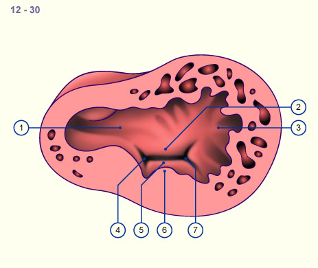 media/module16/3DhorizA.jpg