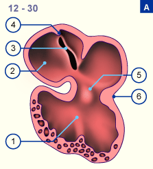 media/module16/p2c_umbauvorhofN.gif