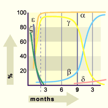 media/module17/q1d_hemoglobin.gif