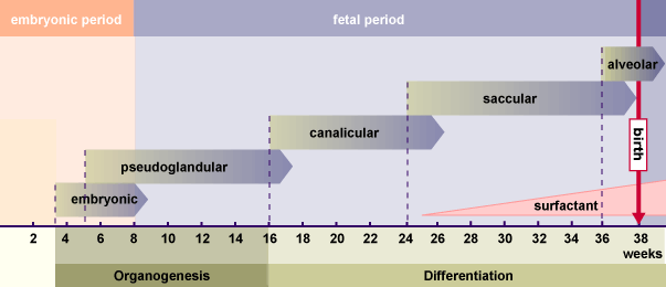 media/module18/r0a_ueberblick_603.gif