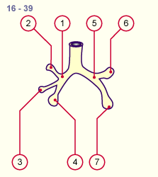 media/module18/r1b_entwicklung_st16.gif