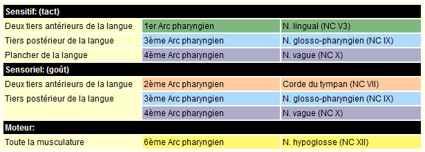 media/module19/Languetabelle_FR.png