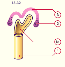 media/module20/t4c1_blasteme.gif