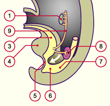 media/module20/t4p2_migr.gif