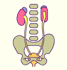 media/module20/t6c_anomrotat.gif