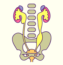 media/module20/t6k_obstruct.gif