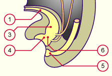 media/module21/u3yf2_devuretre.gif