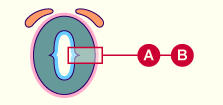 media/module22/v4ab_prolifcel.gif