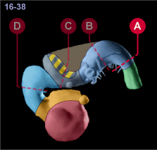 media/module22/v7a_planA_st16.gif