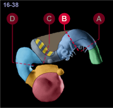 media/module22/v7a_planB_st16.gif