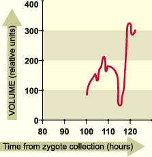 media/module5/e1g_hatchingvolumen.gif