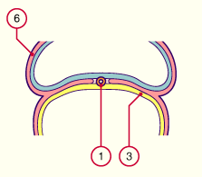 media/module7/h2ia2_cstad7_19.gif