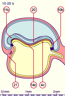 media/module8/i4_astadNumeros/i4_astad10_28bN.gif