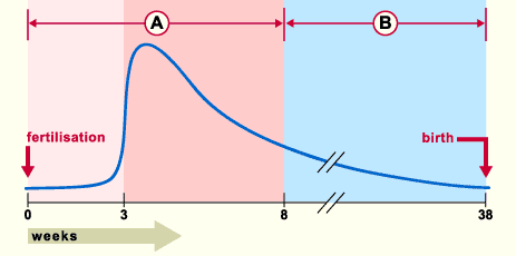 media/module8/i7a_incidcong.gif