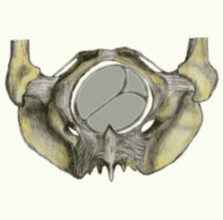 media/module9/j4e_ph2unten.gif